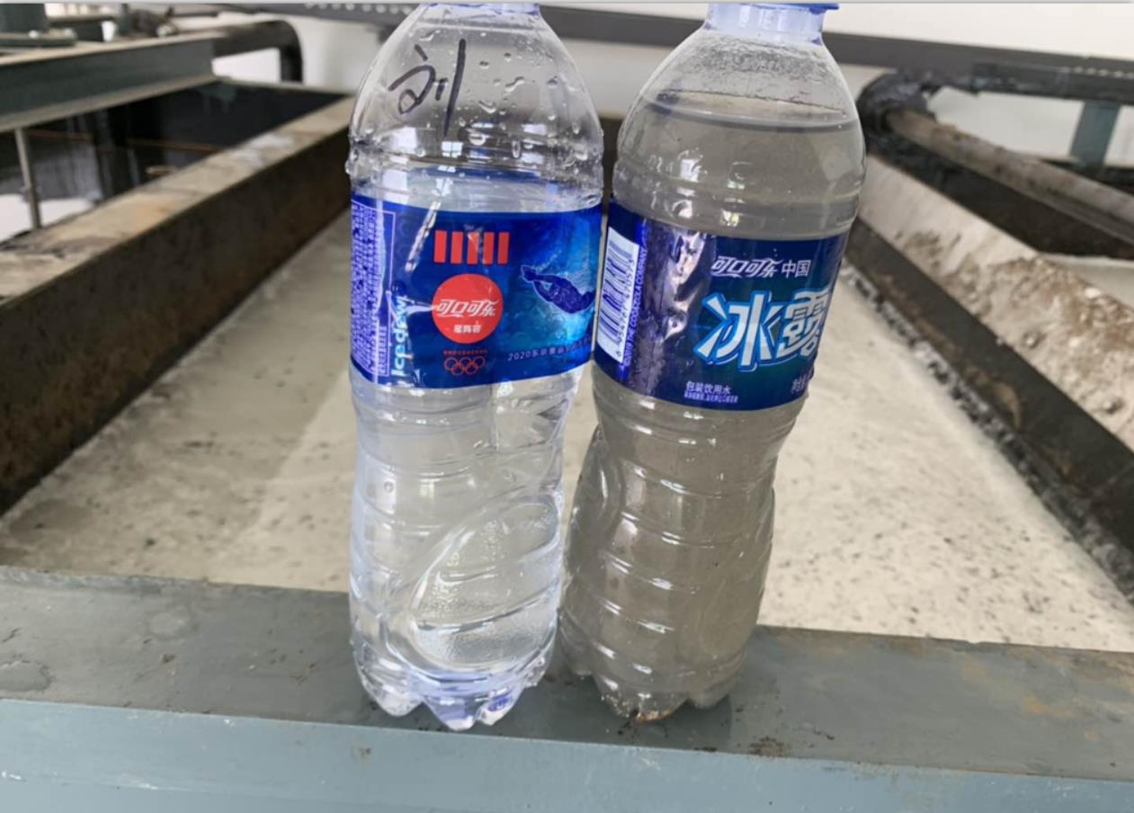 养猪污水出水效果