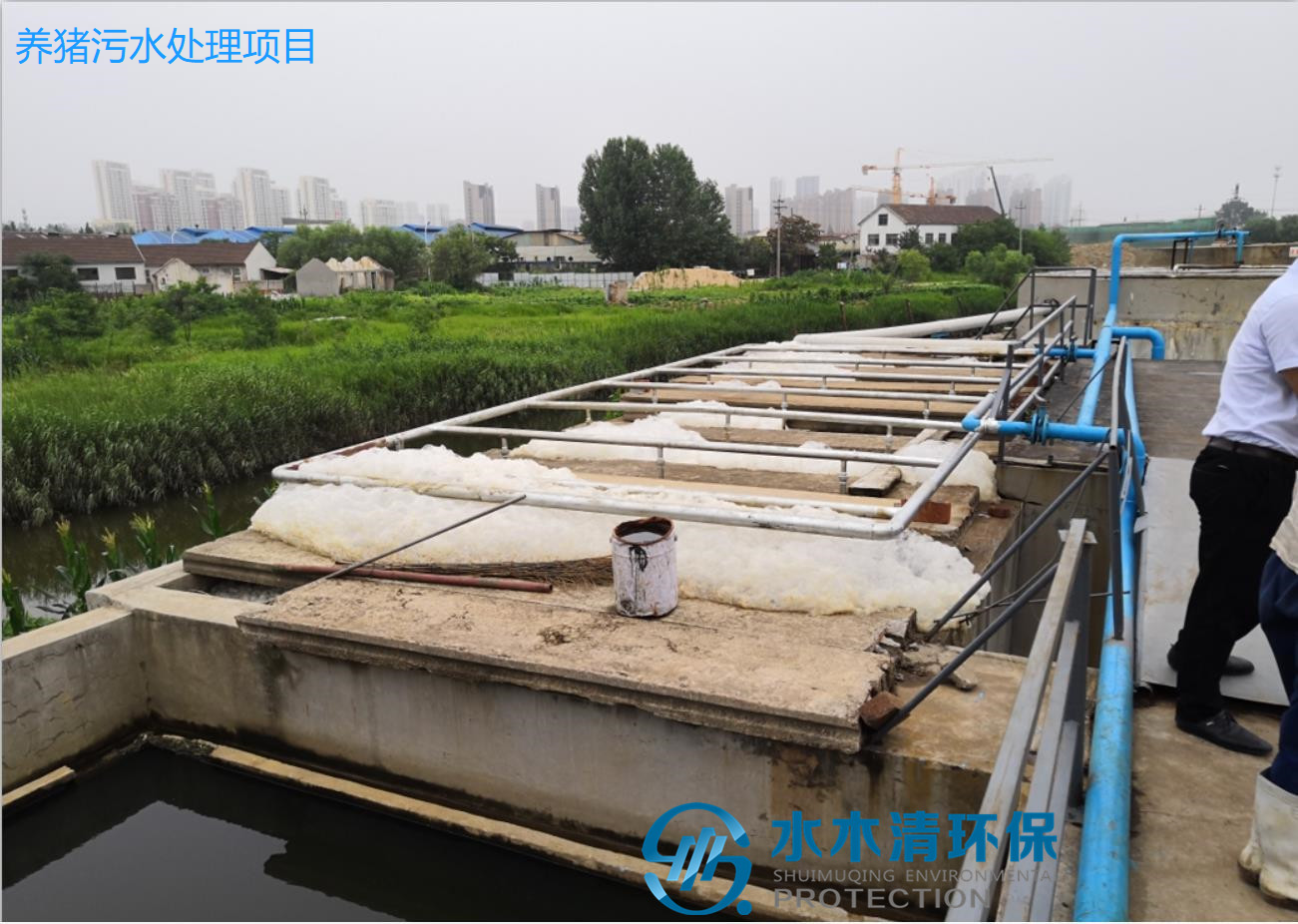 养猪污水处置惩罚现场