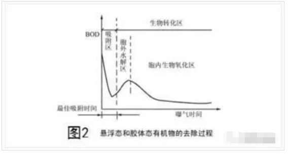 污水是怎样被活性污泥净化的