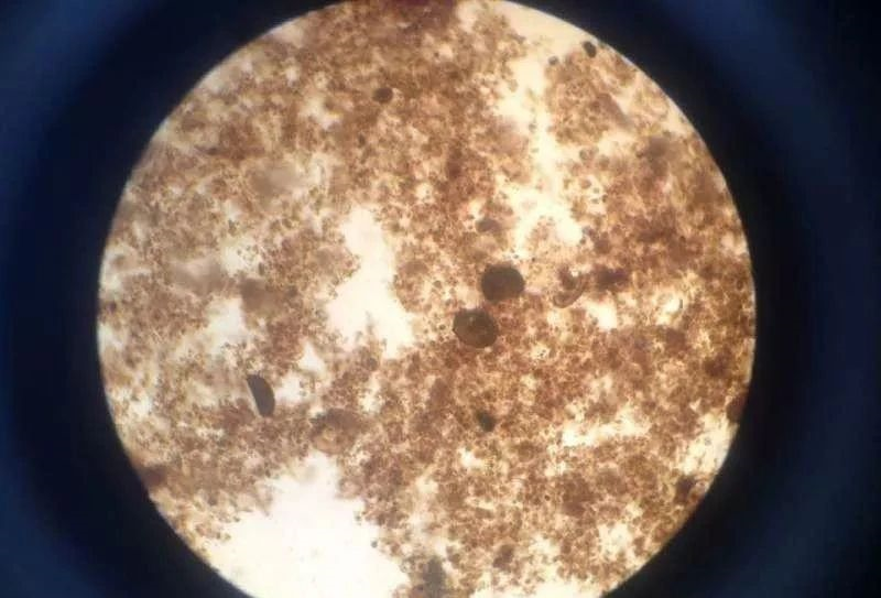 换季污泥膨胀处置惩罚计划